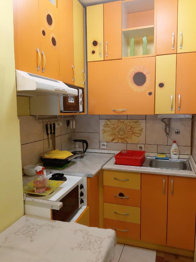Apartment Adela Požarevac Zewnętrze zdjęcie